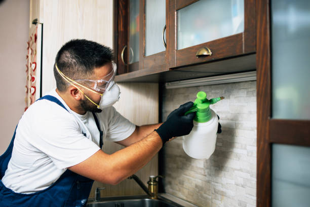 Best Best Pest Control Companies  in Toppenish, WA