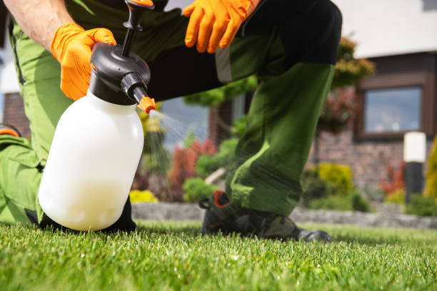 Best Rodent Control Near Me  in Toppenish, WA