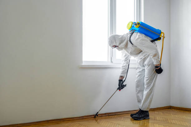 Wasp Removal Services in Toppenish, WA