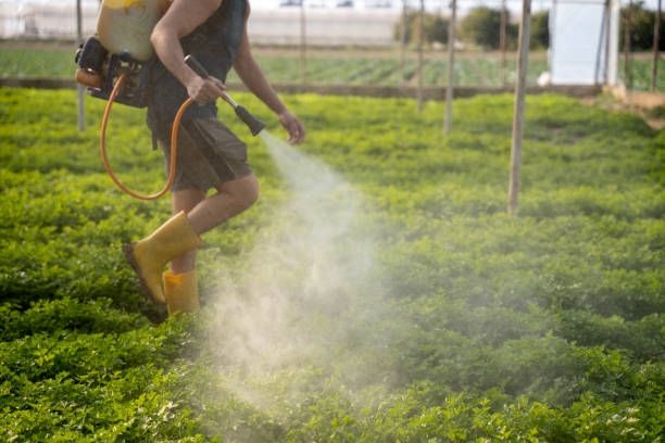 Best Emergency Pest Control  in Toppenish, WA
