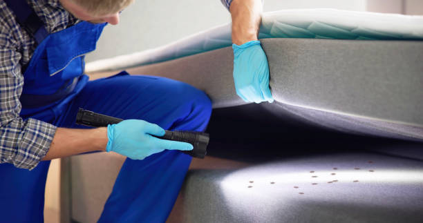Best Ant Control Services  in Toppenish, WA