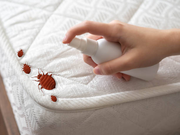 Best Flea Control Services  in Toppenish, WA
