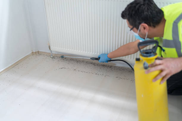Best Ant Control Services  in Toppenish, WA