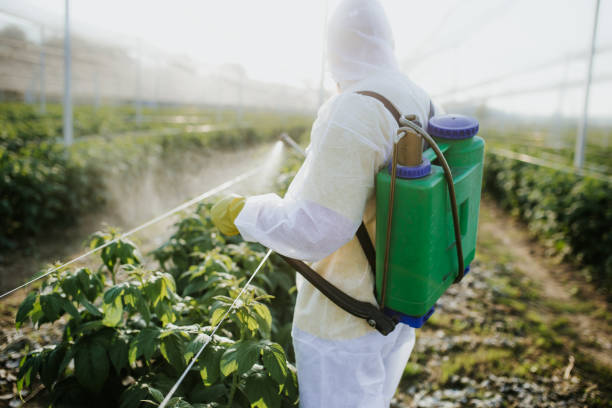 Best Wasp Removal Services  in Toppenish, WA